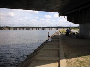 �ނ���̗l�q